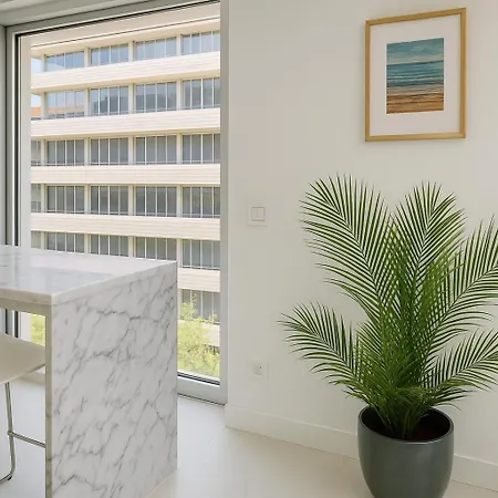 Modern 1 Bedroom Flat In Lisbon